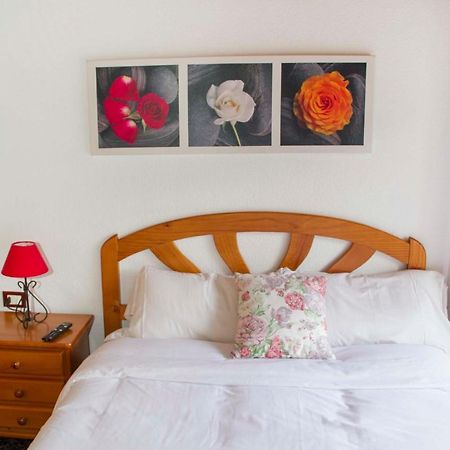 Apartmán Brisas De Anaga Santa Cruz de Tenerife Exteriér fotografie